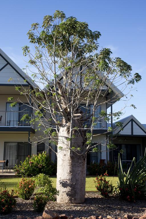 קונונורה Freshwater East Kimberley Apartments מראה חיצוני תמונה